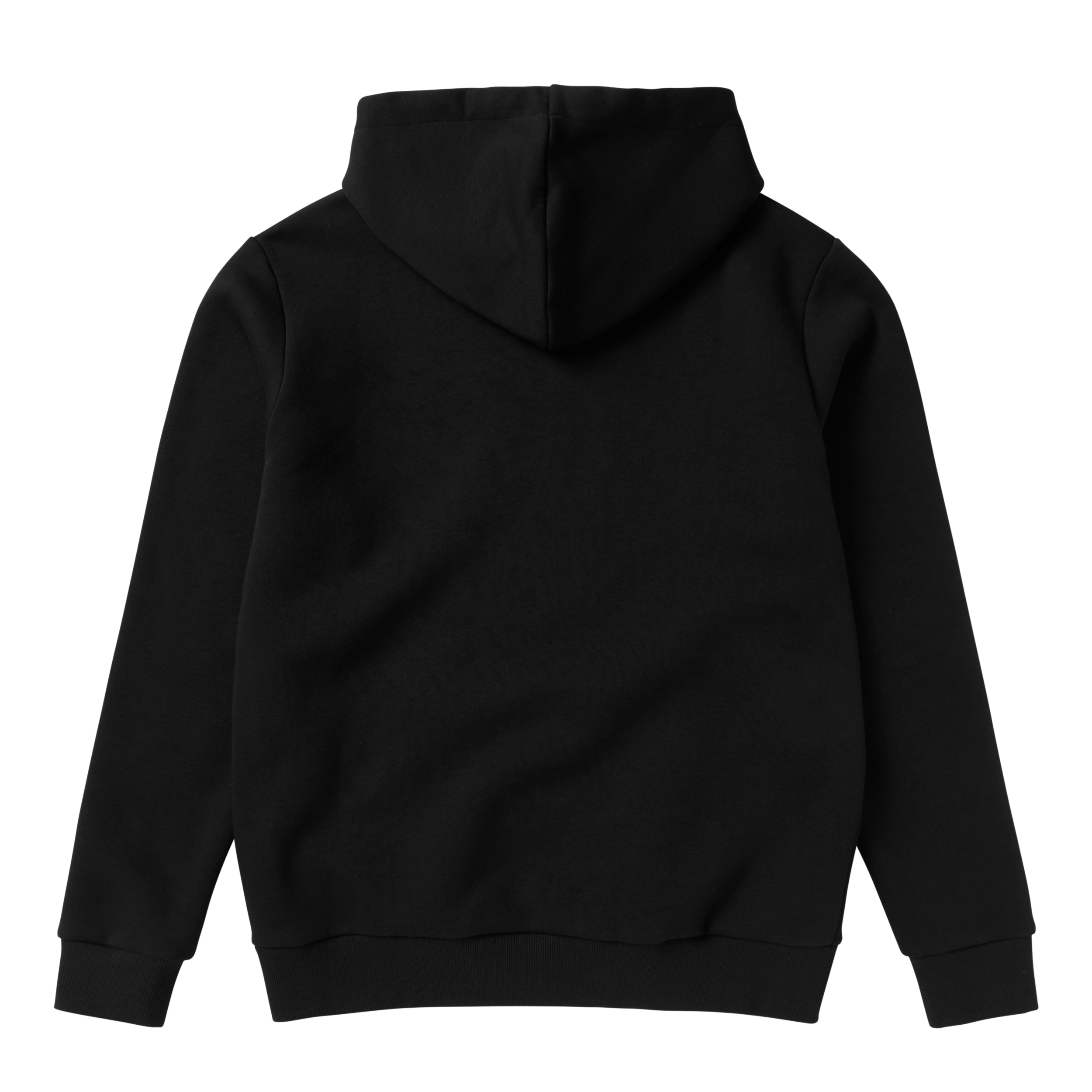 Icon Kapuzensweatshirt
