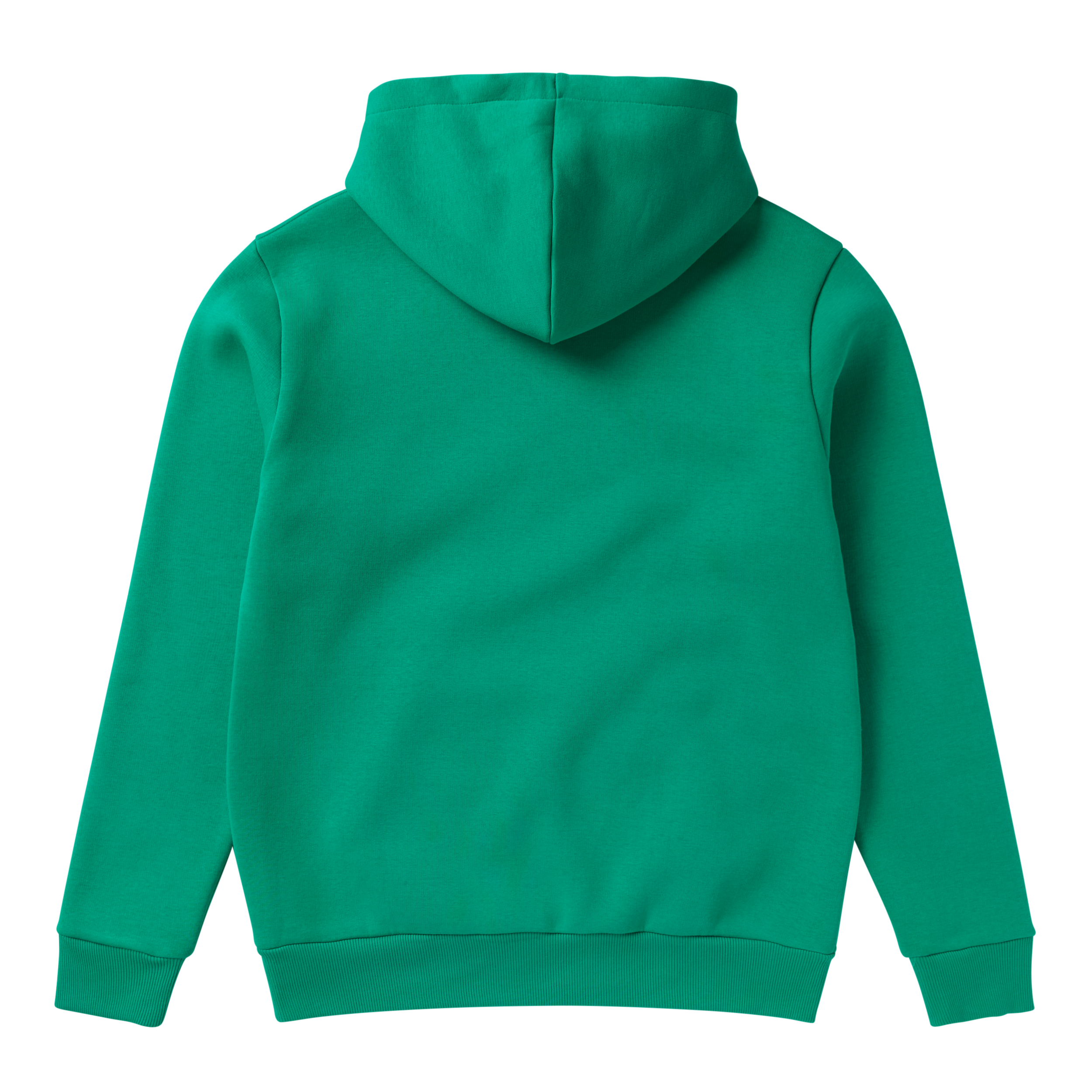 Icon Kapuzensweatshirt