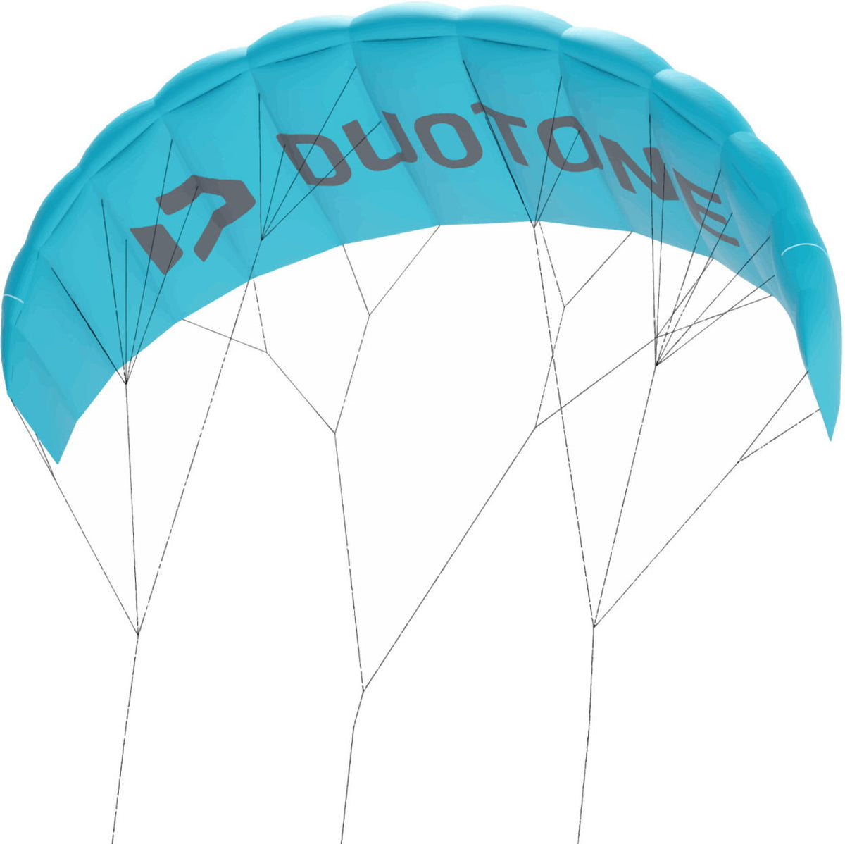 Duotone Lizard 2027