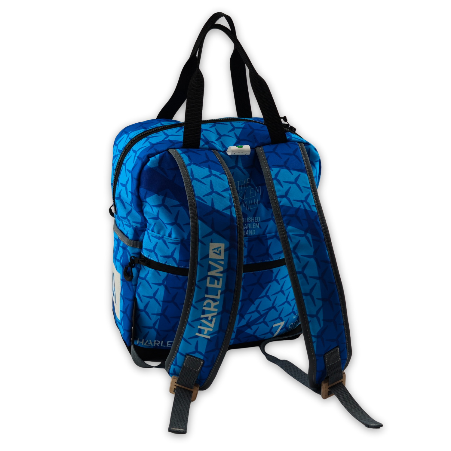 Upcycled Backpack